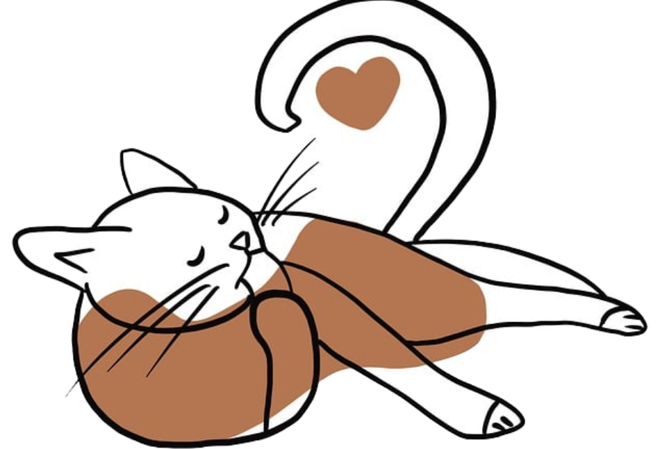 猫咪躺下