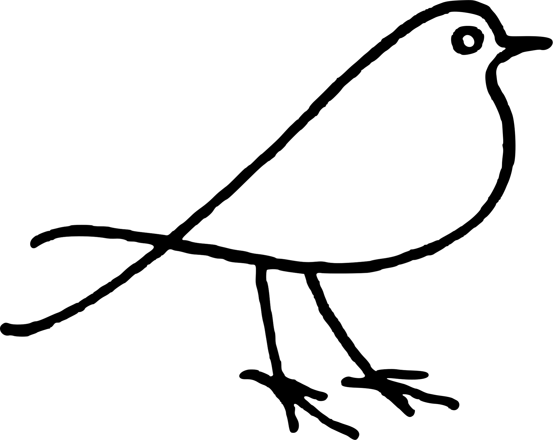 鸟图案